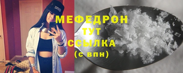 ГАЛЛЮЦИНОГЕННЫЕ ГРИБЫ Дмитриев