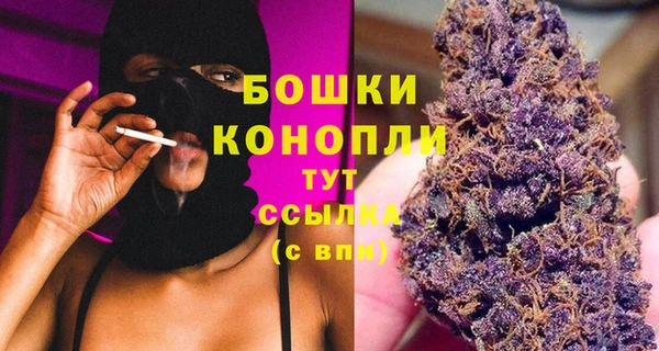 ГАЛЛЮЦИНОГЕННЫЕ ГРИБЫ Дмитриев