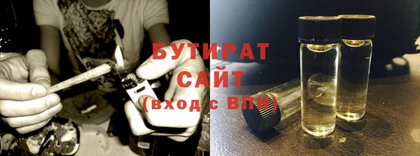 ГАЛЛЮЦИНОГЕННЫЕ ГРИБЫ Дмитриев