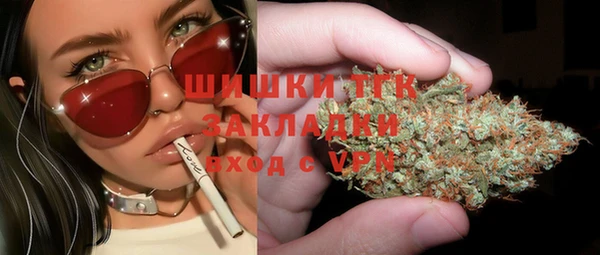 ГАЛЛЮЦИНОГЕННЫЕ ГРИБЫ Дмитриев