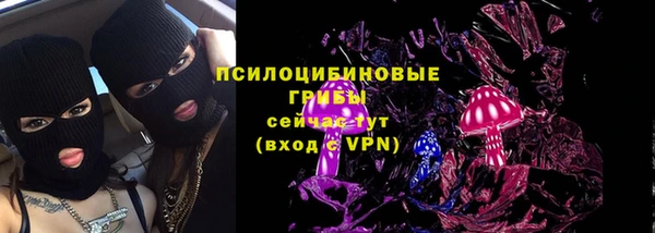кокс Елизово