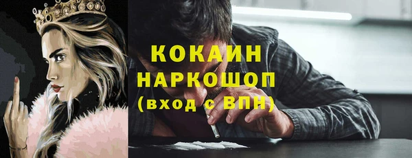 ГАЛЛЮЦИНОГЕННЫЕ ГРИБЫ Дмитриев