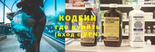 ГАЛЛЮЦИНОГЕННЫЕ ГРИБЫ Дмитриев