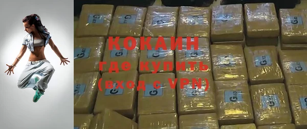 ГАЛЛЮЦИНОГЕННЫЕ ГРИБЫ Дмитриев