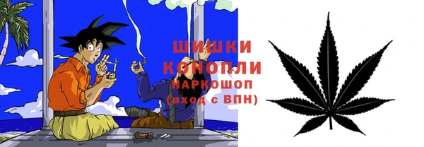кокс Елизово