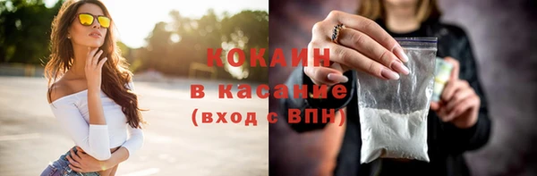 кокс Елизово