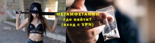 ГАЛЛЮЦИНОГЕННЫЕ ГРИБЫ Дмитриев
