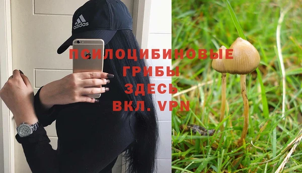 кокс Елизово