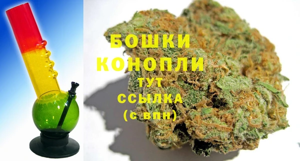 ГАЛЛЮЦИНОГЕННЫЕ ГРИБЫ Дмитриев