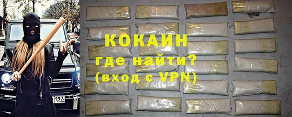 ГАЛЛЮЦИНОГЕННЫЕ ГРИБЫ Дмитриев