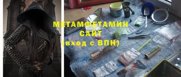 ГАЛЛЮЦИНОГЕННЫЕ ГРИБЫ Дмитриев